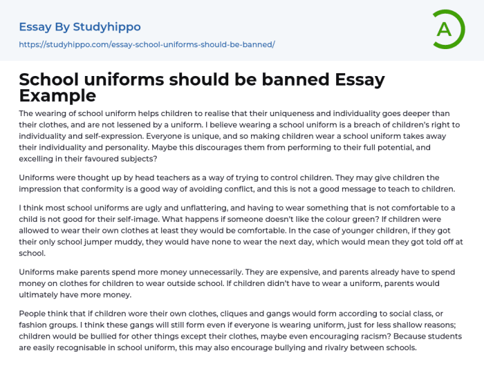 Banned essay