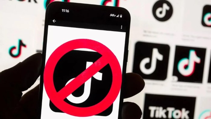 Should tiktok be banned essay