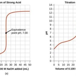 Experiment 22 neutralization titration 1 answers