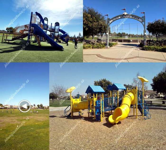 Rotary centennial park and robin ventura tee ball field